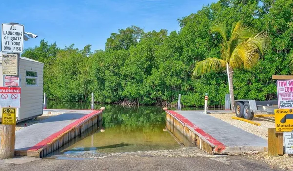 a view of a park with large trees