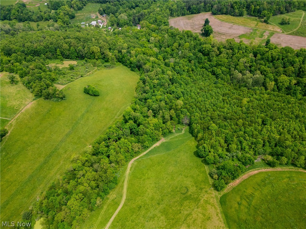 407 County Road Millersburg, OH 44654 - Photo 7 of 48