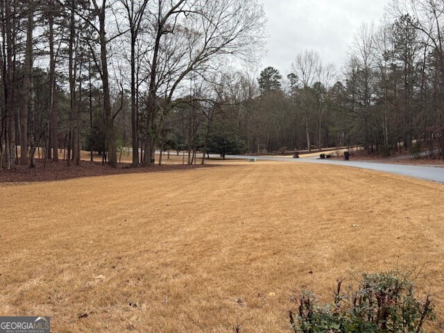 351 Antrim Glen Road Hoschton, GA 30548 - Photo 9 of 10