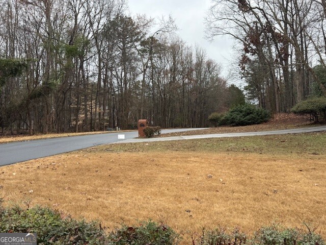 351 Antrim Glen Road Hoschton, GA 30548 - Photo 10 of 10