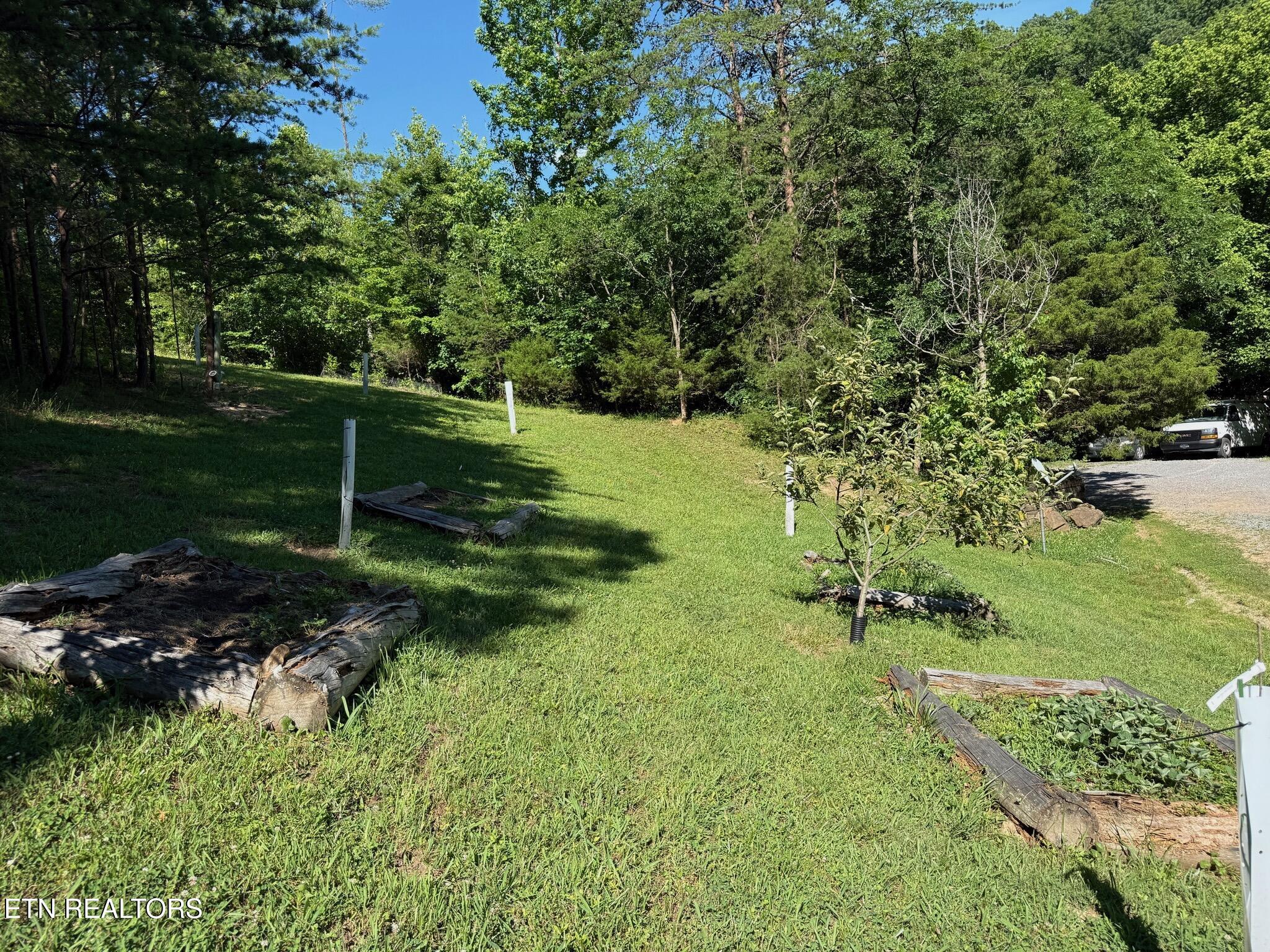 355 Lone Mountain Road Andersonville, TN 37705 - Photo 32 of 45 Small Orchard