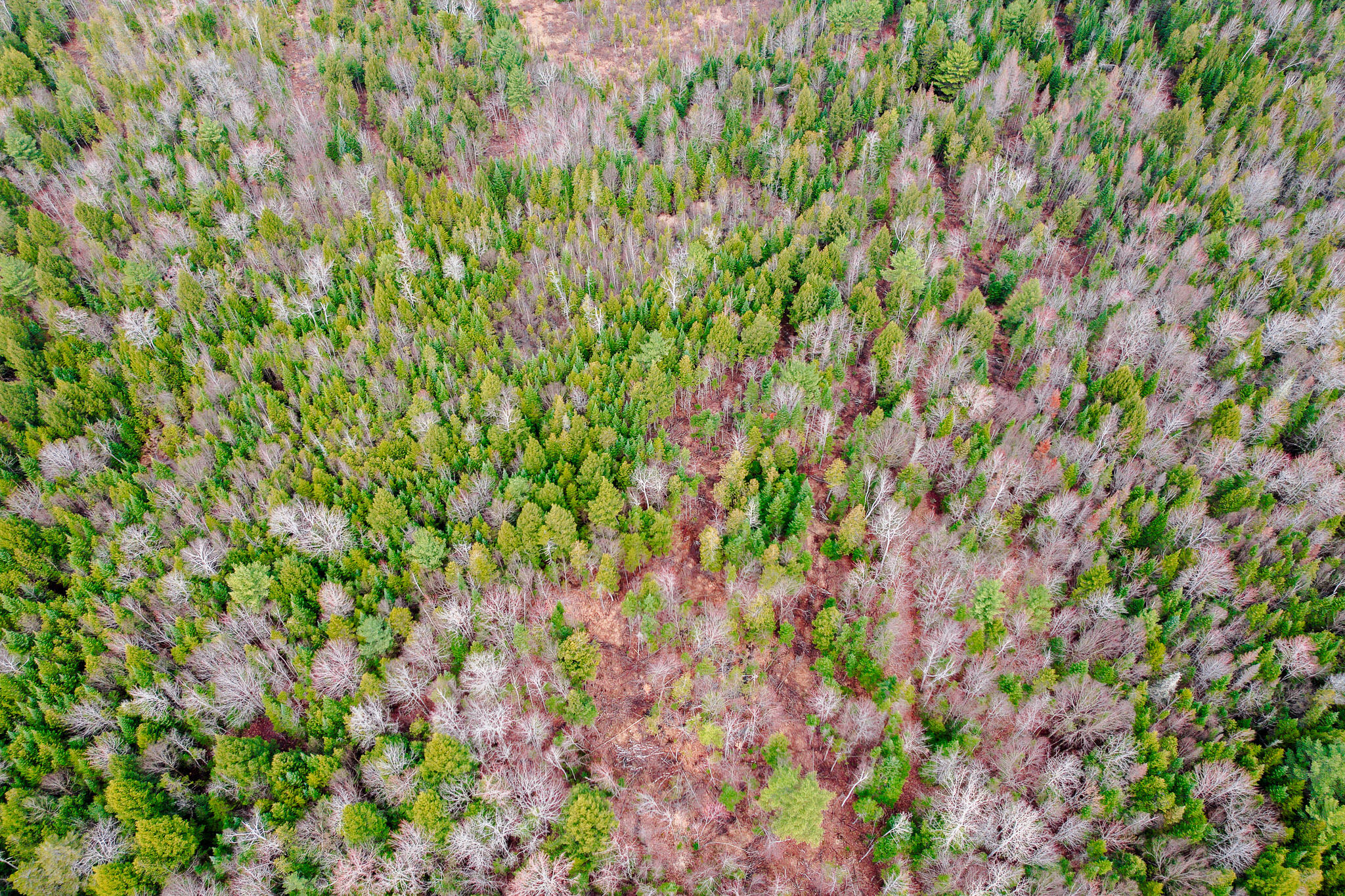 414 Taylor Hill Road New Vineyard, ME 04956 - Photo 79 of 88 414 Taylor Hill Road