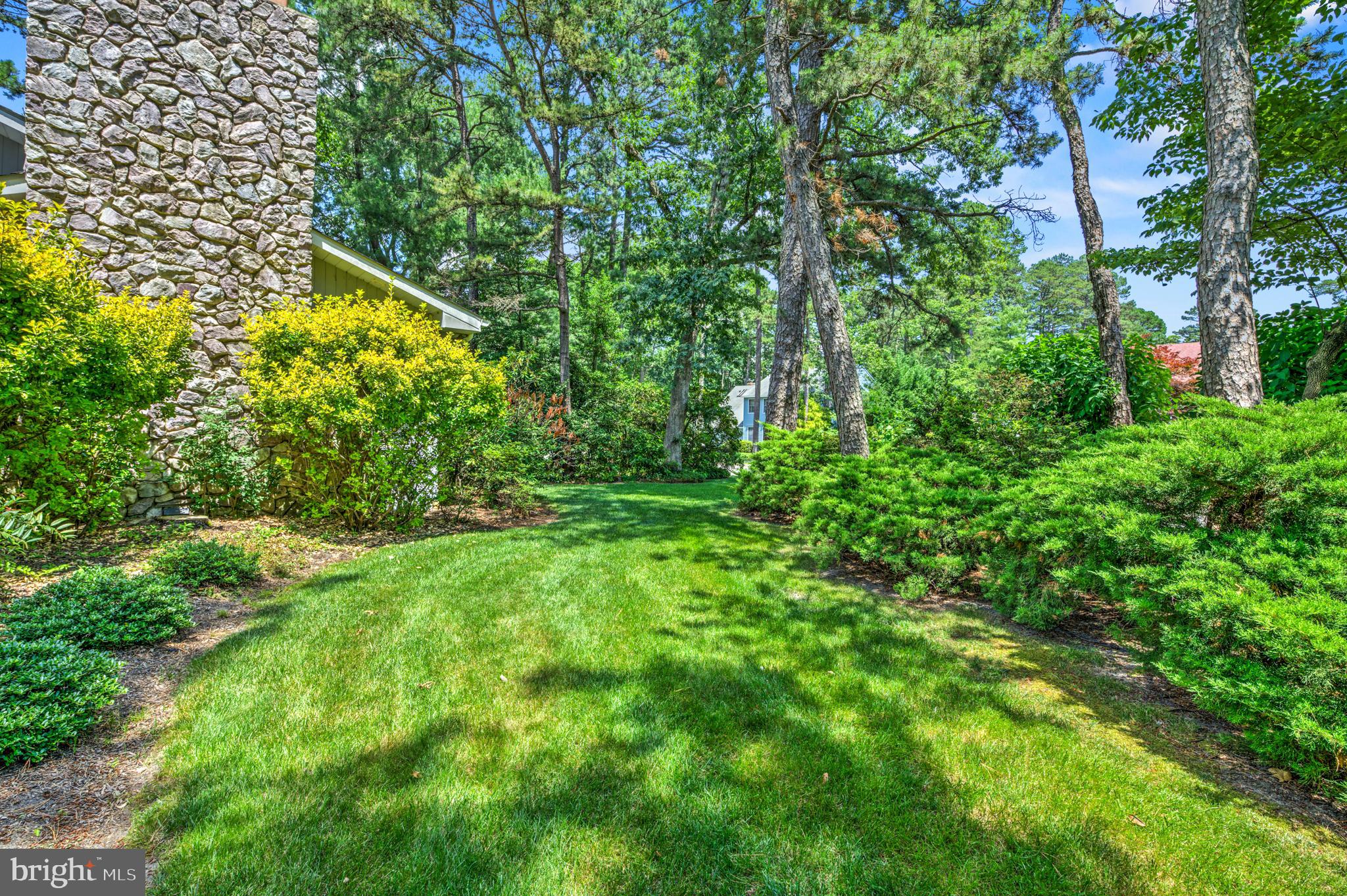 20 Woodbrook Road Voorhees, NJ 08043 - Photo 3 of 46 a view of yard