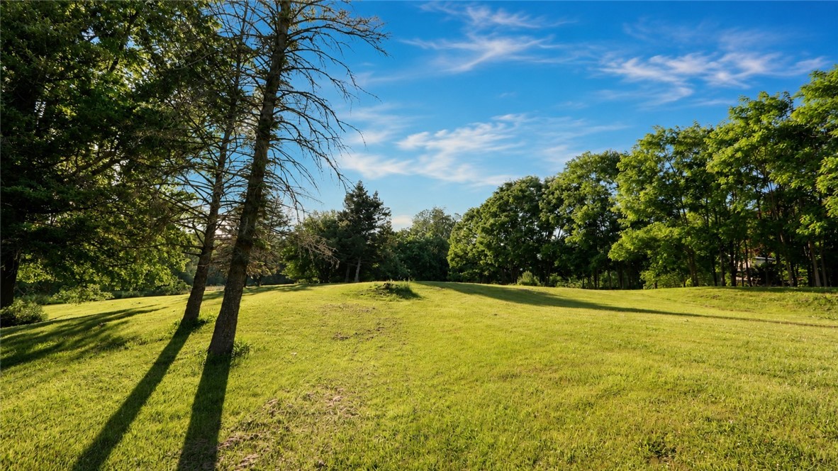 225 Carter Road Geneva, NY 14456 - Photo 5 of 35