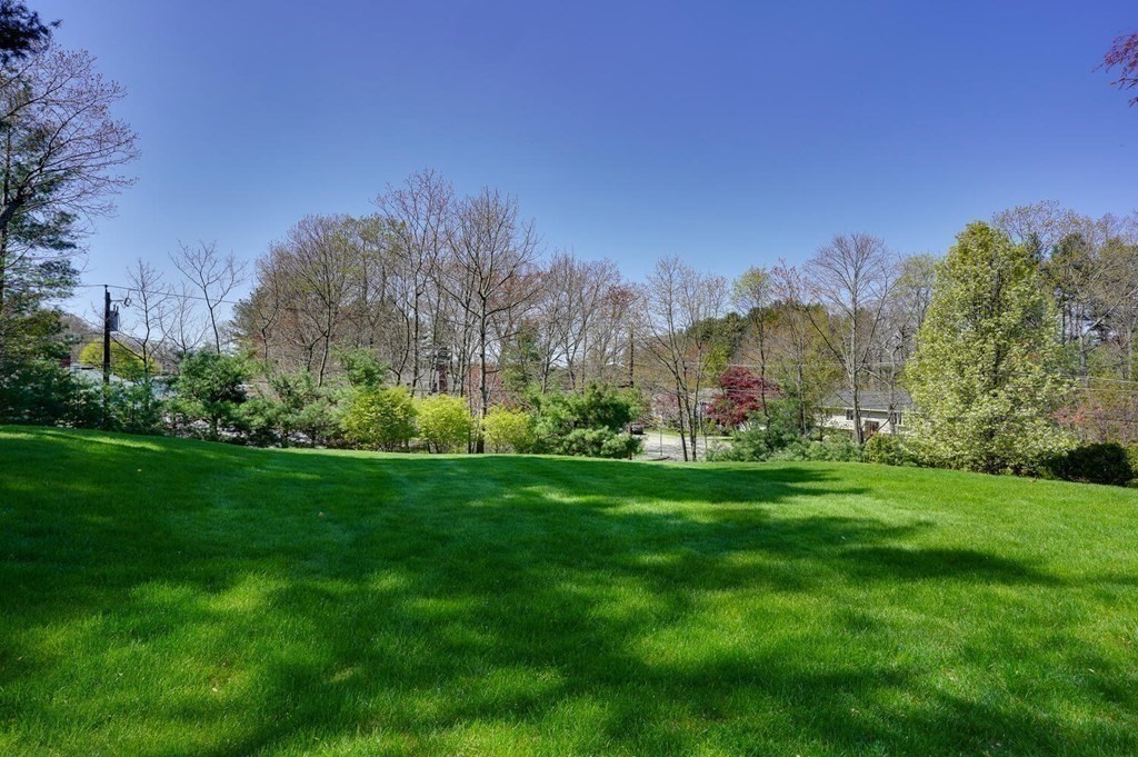 31 Hickory Lane Hudson, MA 01749 - Photo 33 of 42