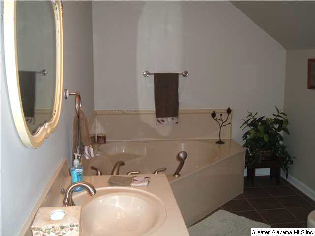 6360 Mays Bend Road Pell City, AL 35128 - Photo 20 of 29