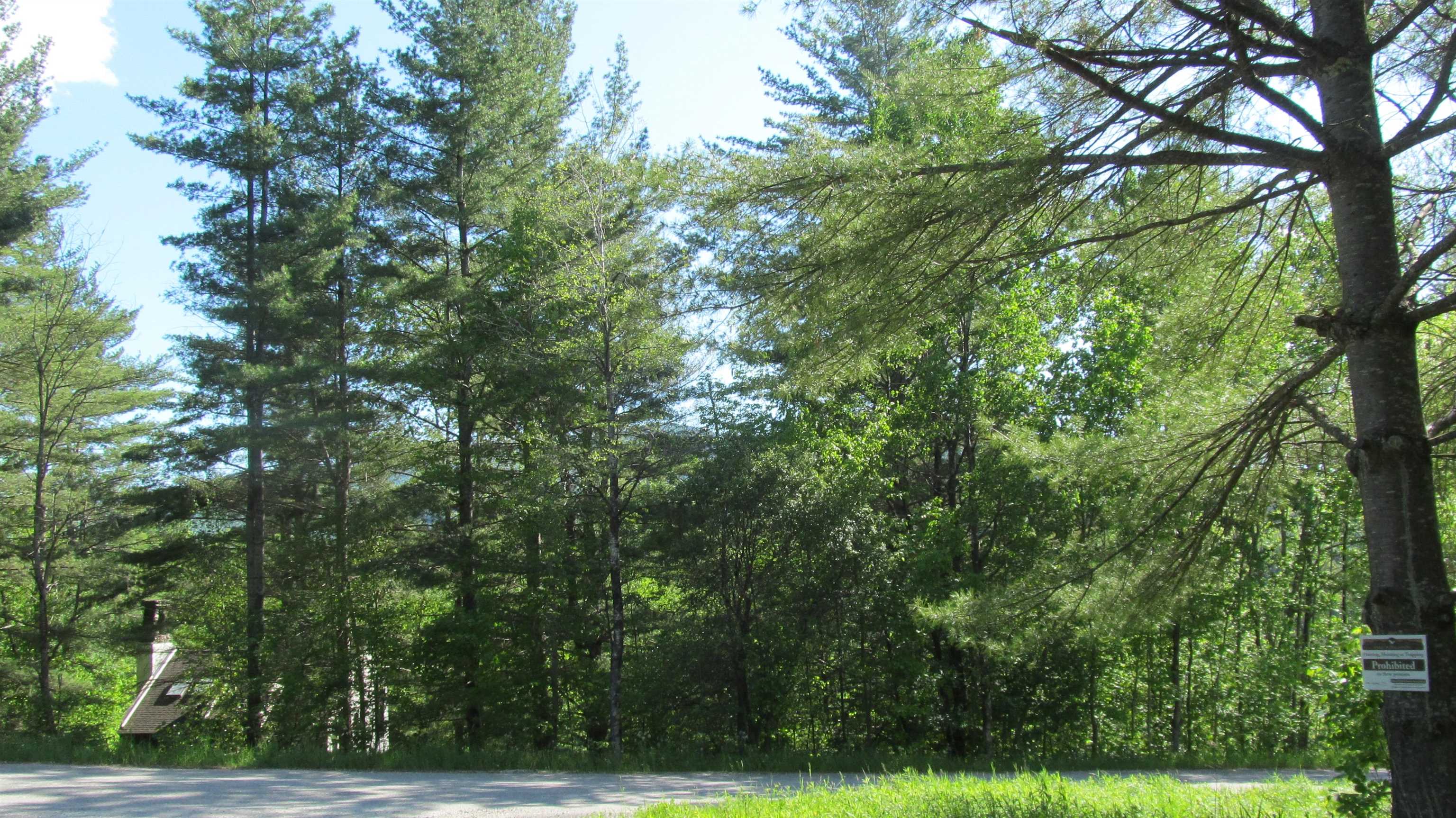 22 Pine Lane Rochester, VT 05767 - Photo 8 of 40