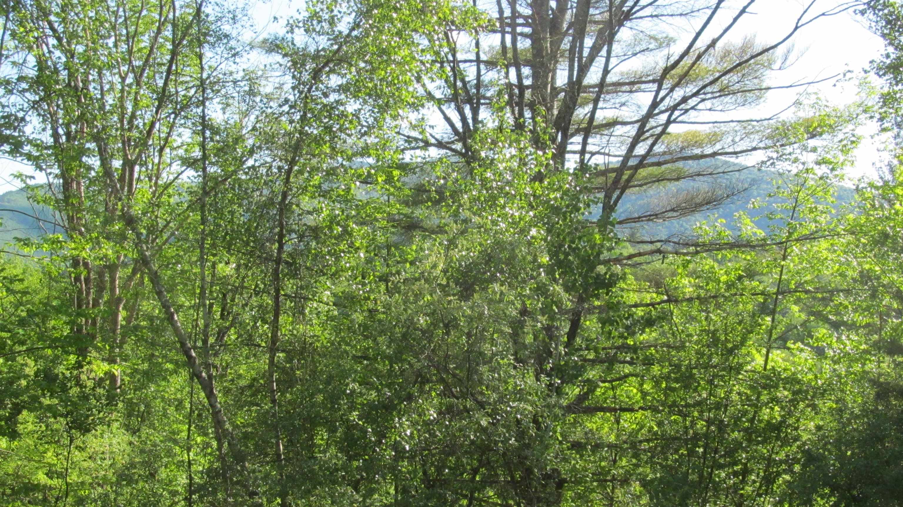 22 Pine Lane Rochester, VT 05767 - Photo 10 of 40