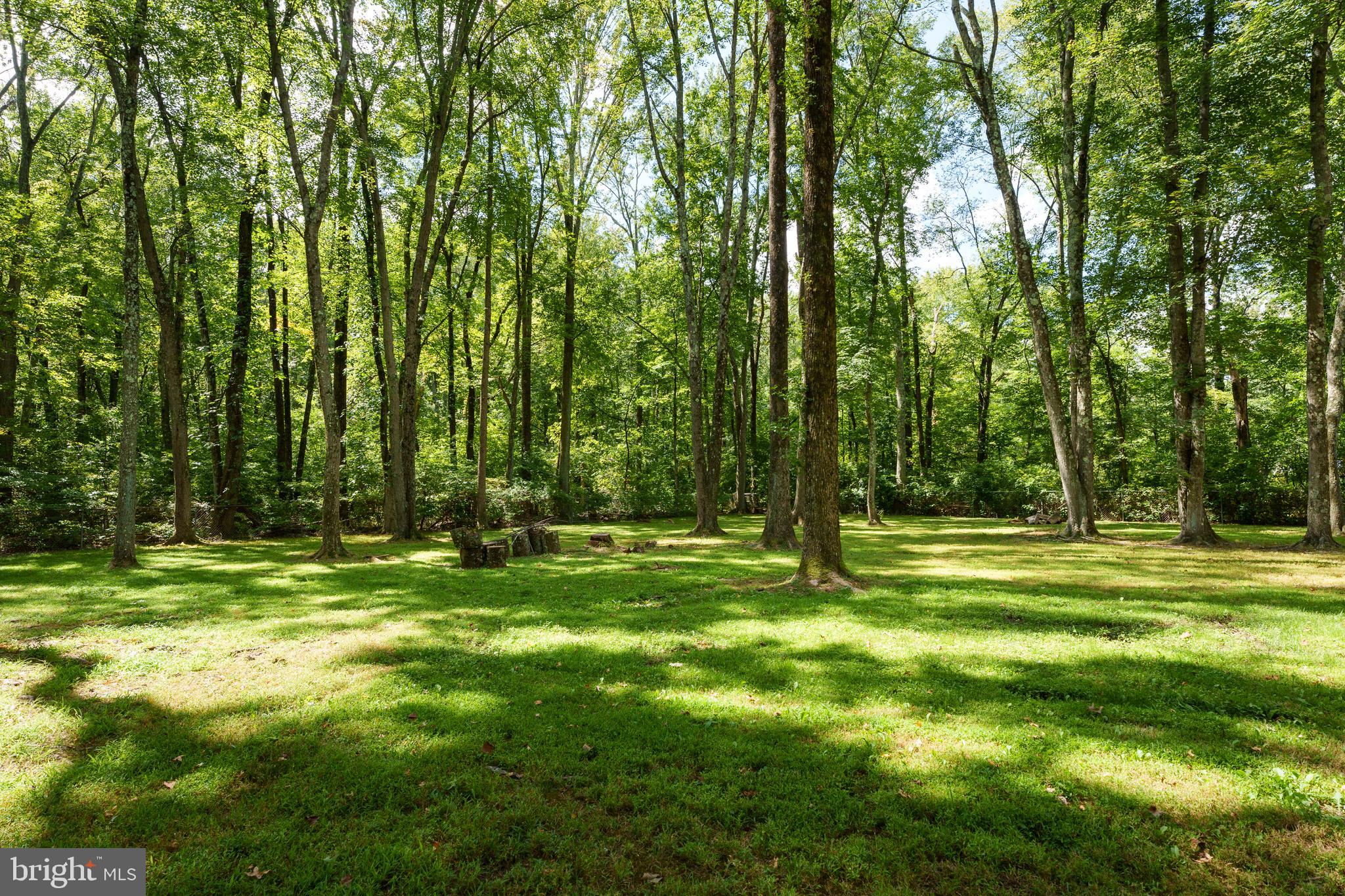 19 Carson Road Princeton, NJ 08540 - Photo 35 of 37