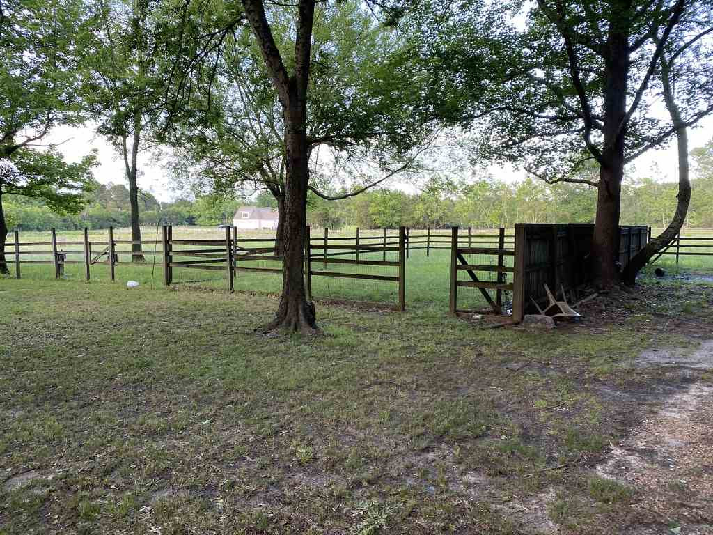 107 Sundown Road Madison, MS 39110 - Photo 5 of 27 Photo 5