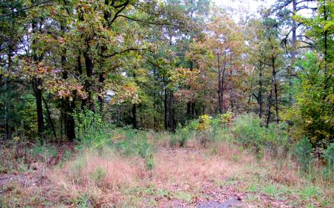 32-34 Pleasant Gap Road Ellijay, GA 30540 - Photo 1 of 1 Main View