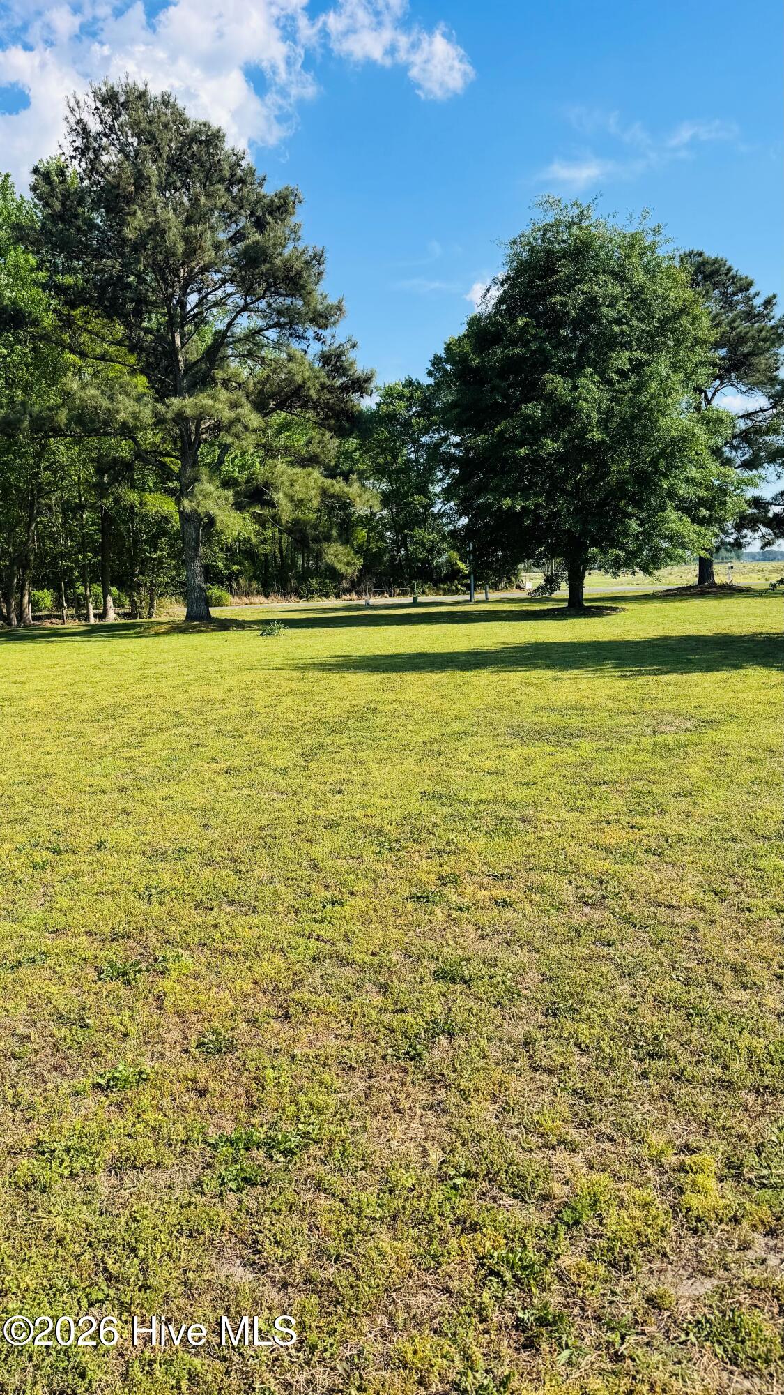 141 Up River Road Belvidere, NC 27919 - Photo 30 of 35 Massive Yard