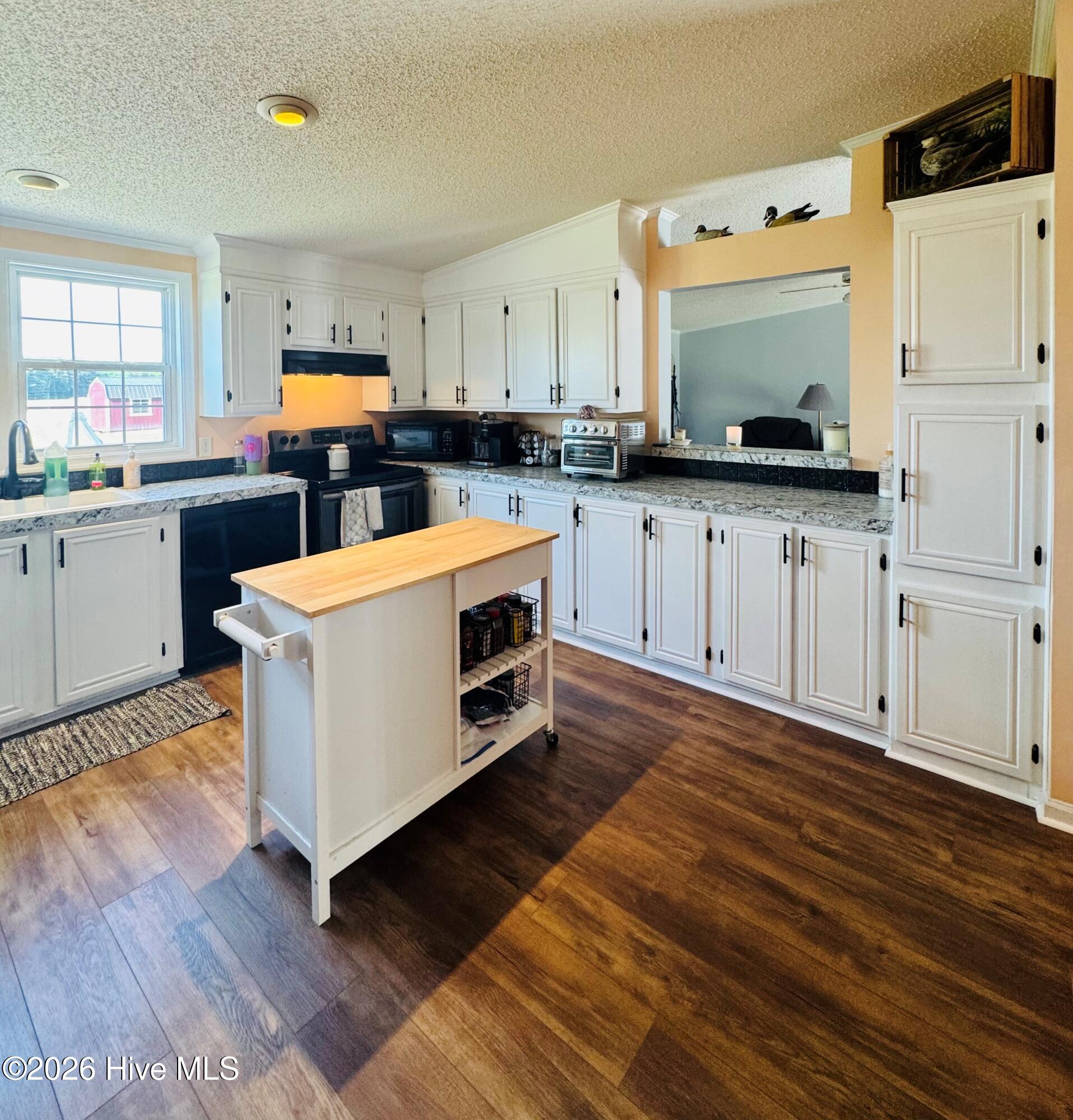 141 Up River Road Belvidere, NC 27919 - Photo 9 of 35 Lots of cabinets
