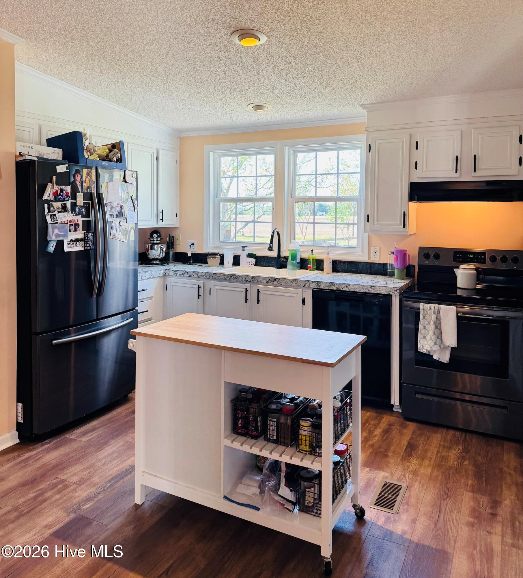 141 Up River Road Belvidere, NC 27919 - Photo 10 of 35 Kitchen over looks back yard