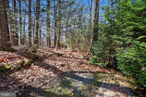 a view of yard with tree