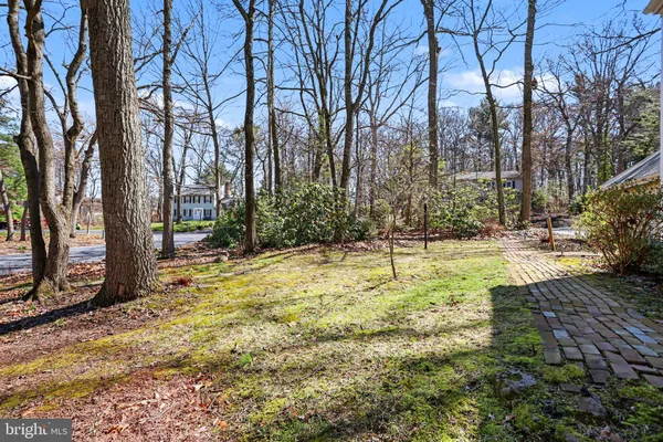 a view of a yard with plants and trees