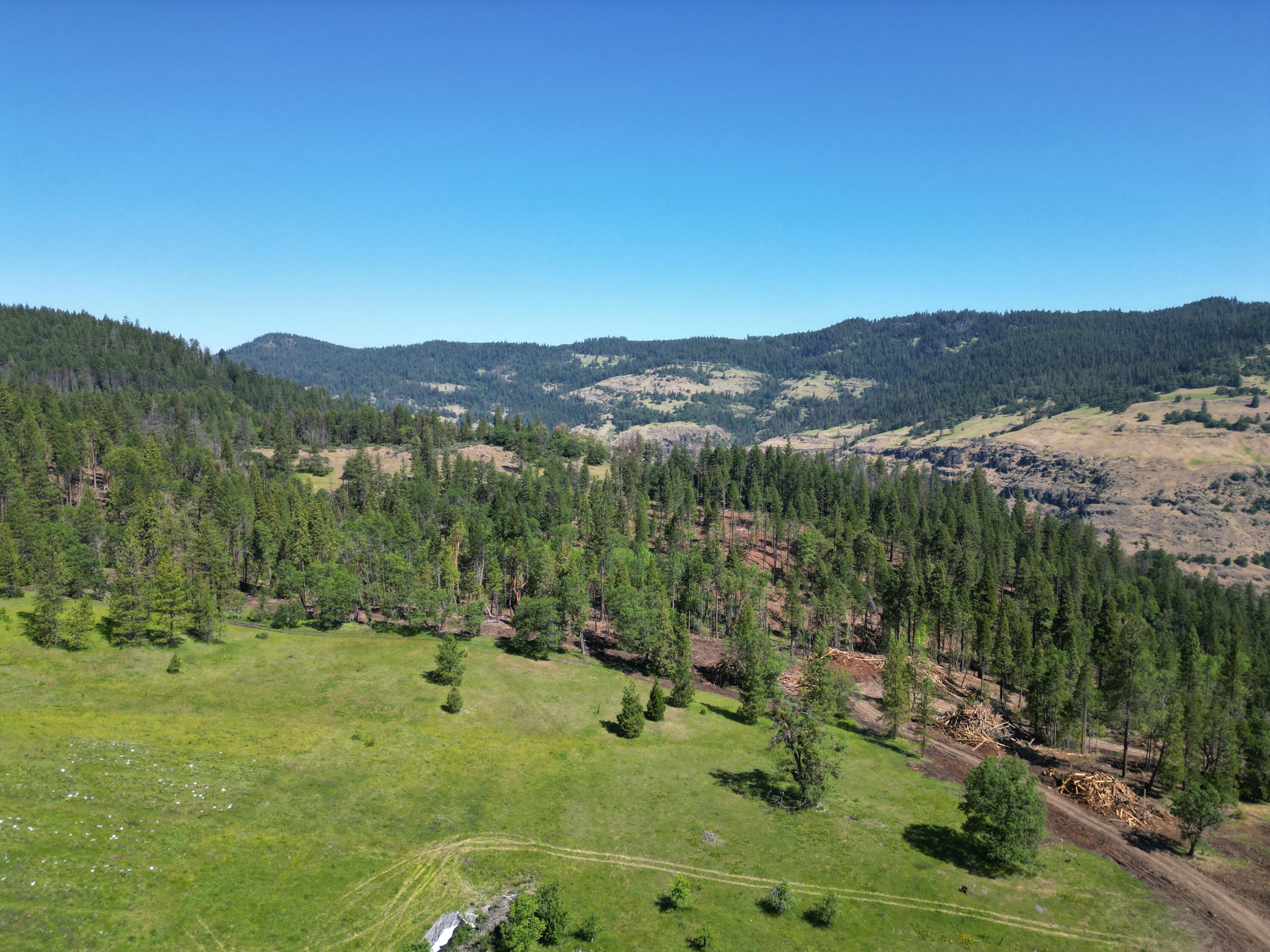 0 Sf Little Butte Eagle Point Eagle Point, OR 97524 - Photo 4 of 9