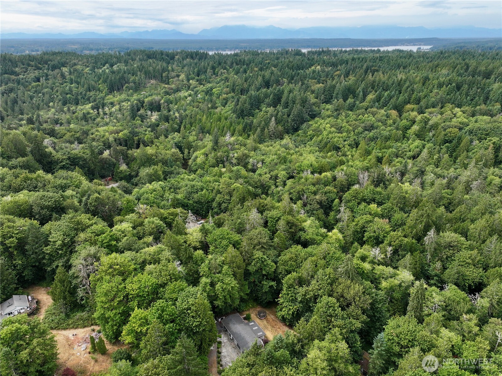17411 64th St Court Northwest Vaughn, WA 98394 - Photo 2 of 27 a view of a green field with lots of bushes