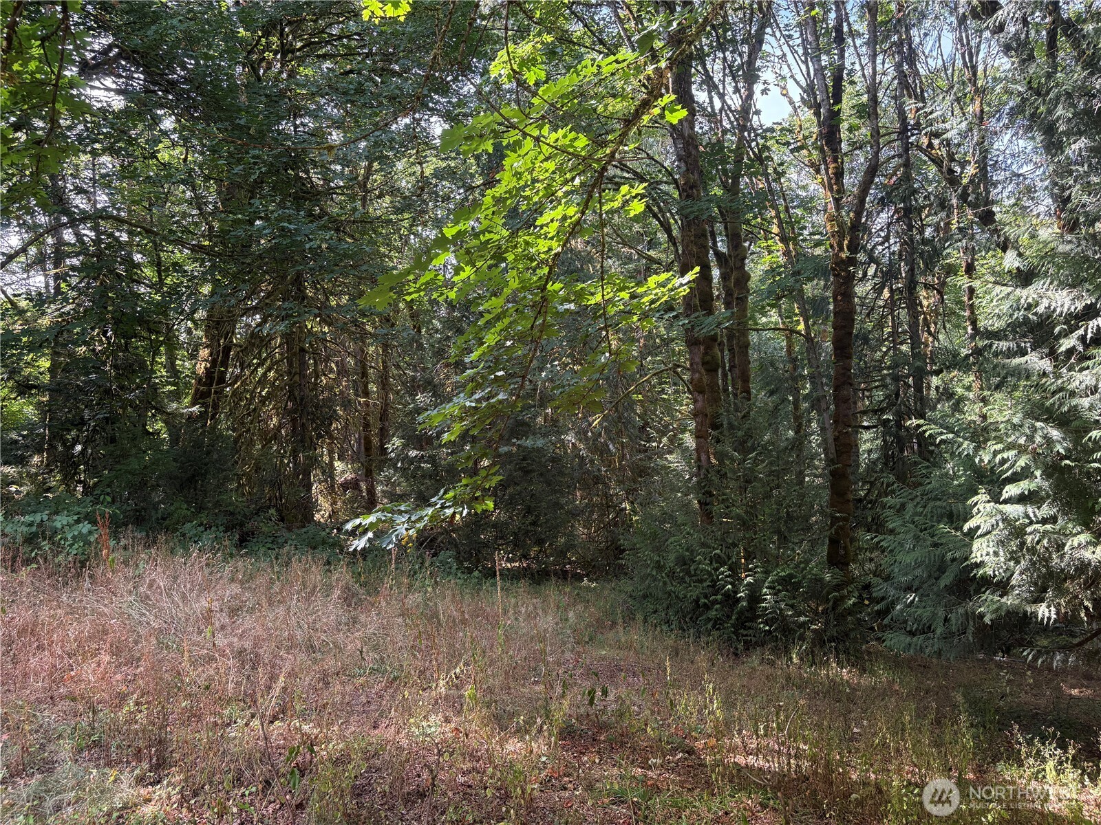 17411 64th St Court Northwest Vaughn, WA 98394 - Photo 21 of 27 a view of a lake with lots of trees