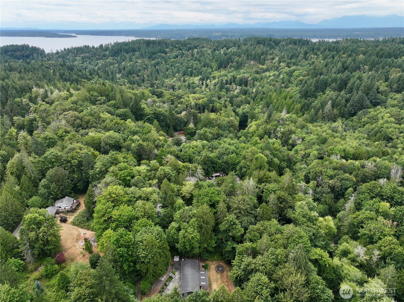 17411 64th St Court Northwest Vaughn, WA 98394 - Photo 27 of 27 a view of a big yard with plants and large trees