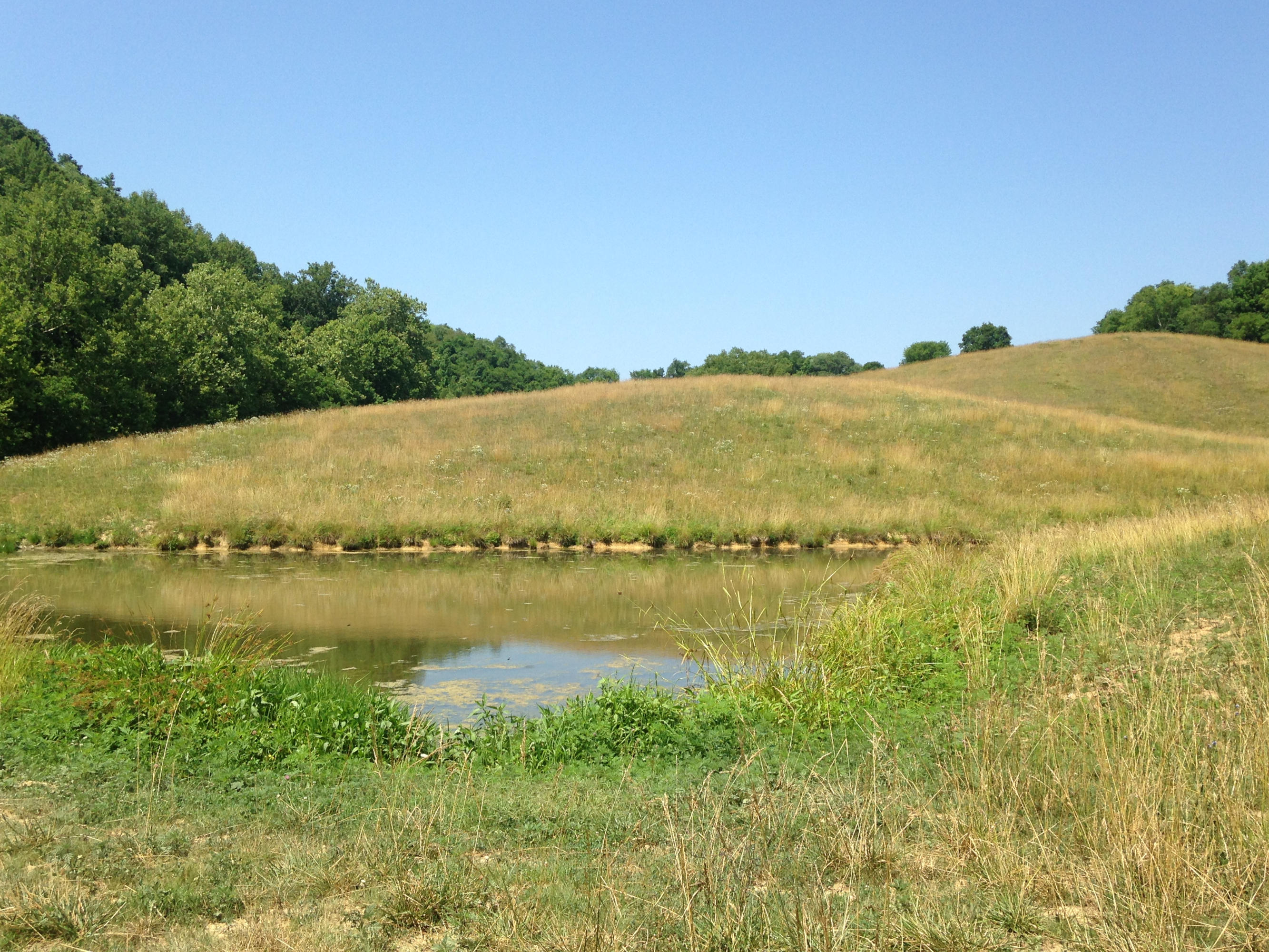 449 Airport Road Bybee, TN 37713 - Photo 12 of 22 2014-06-23 11