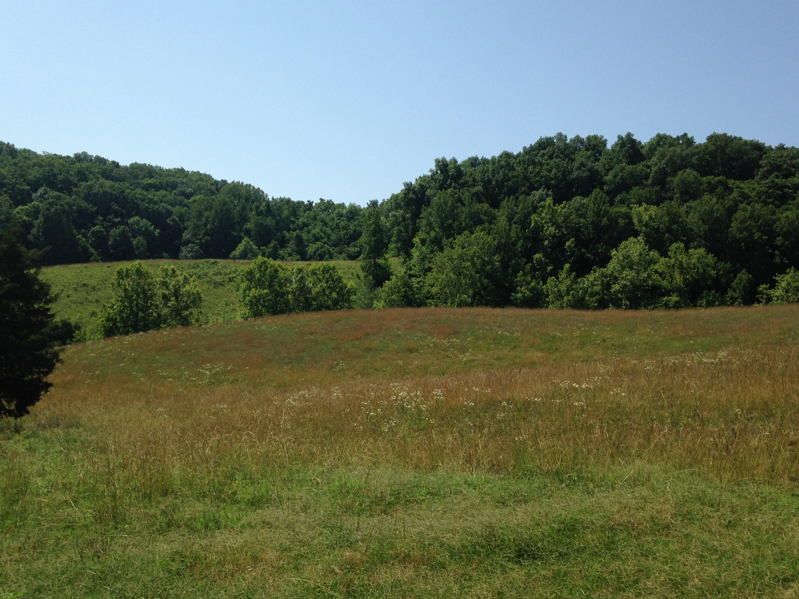 449 Airport Road Bybee, TN 37713 - Photo 13 of 22 2014-06-23 11