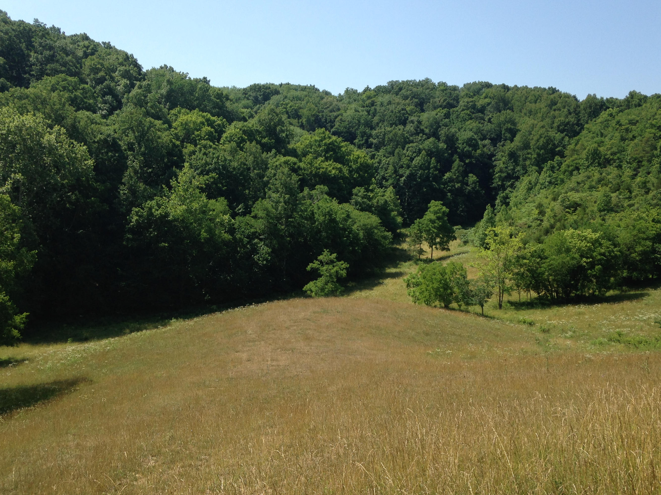 449 Airport Road Bybee, TN 37713 - Photo 14 of 22 2014-06-23 11