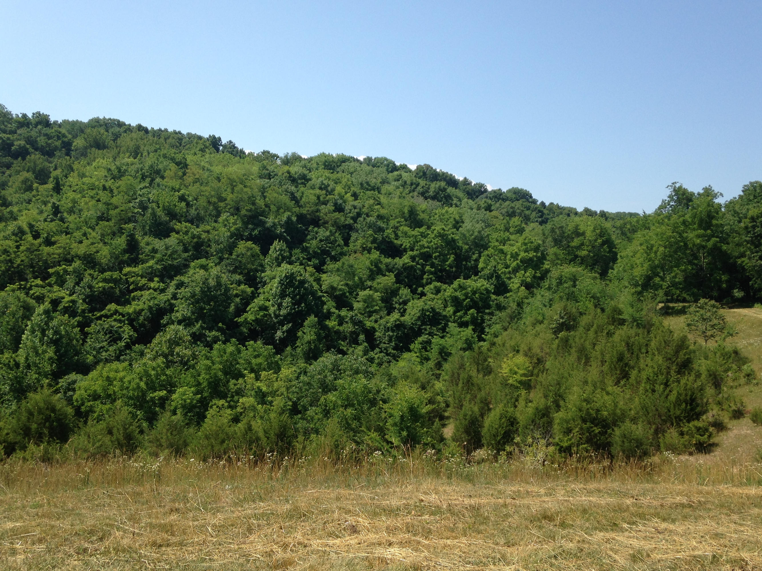 449 Airport Road Bybee, TN 37713 - Photo 15 of 22 2014-06-23 11