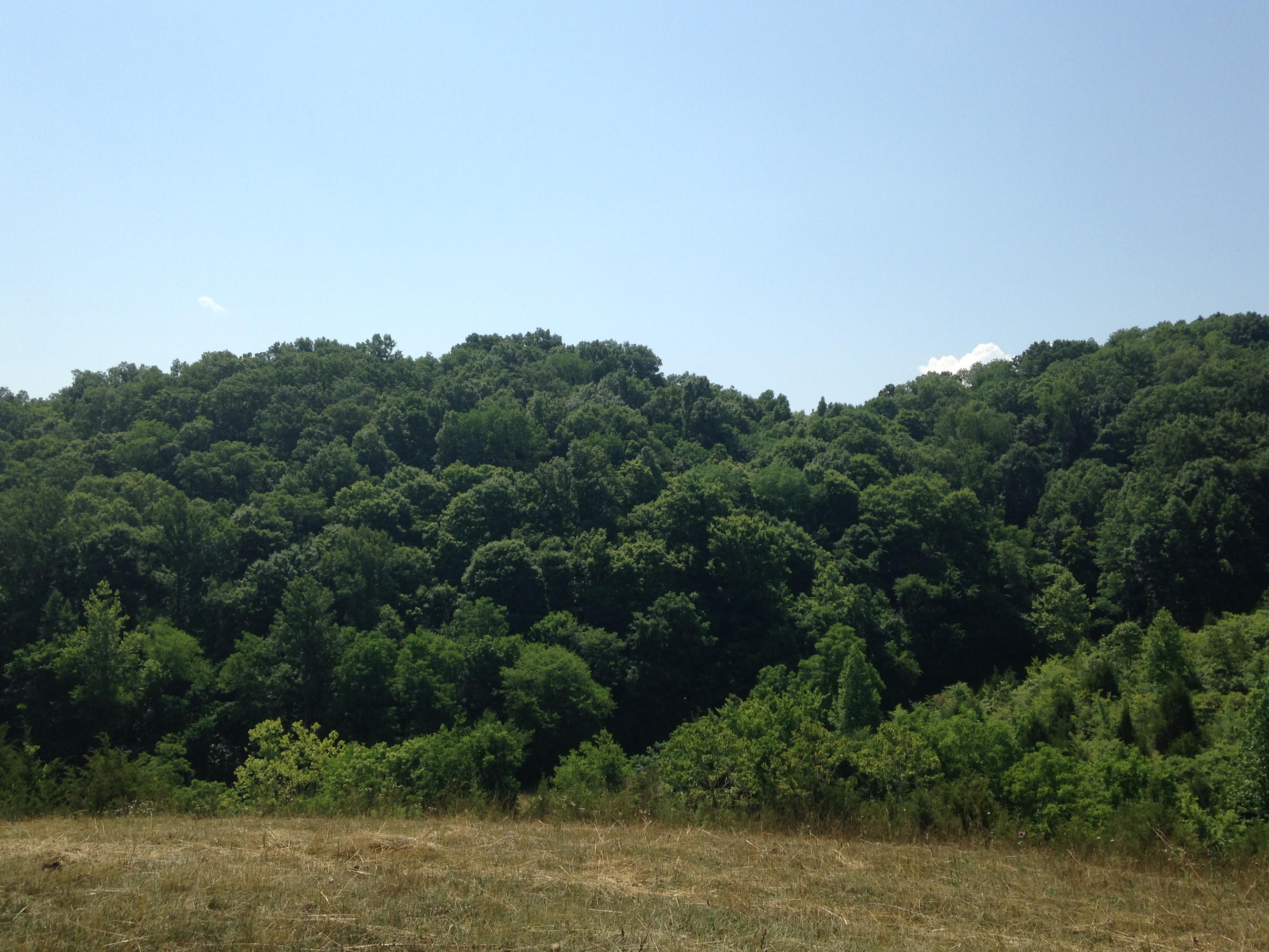 449 Airport Road Bybee, TN 37713 - Photo 16 of 22 2014-06-23 11