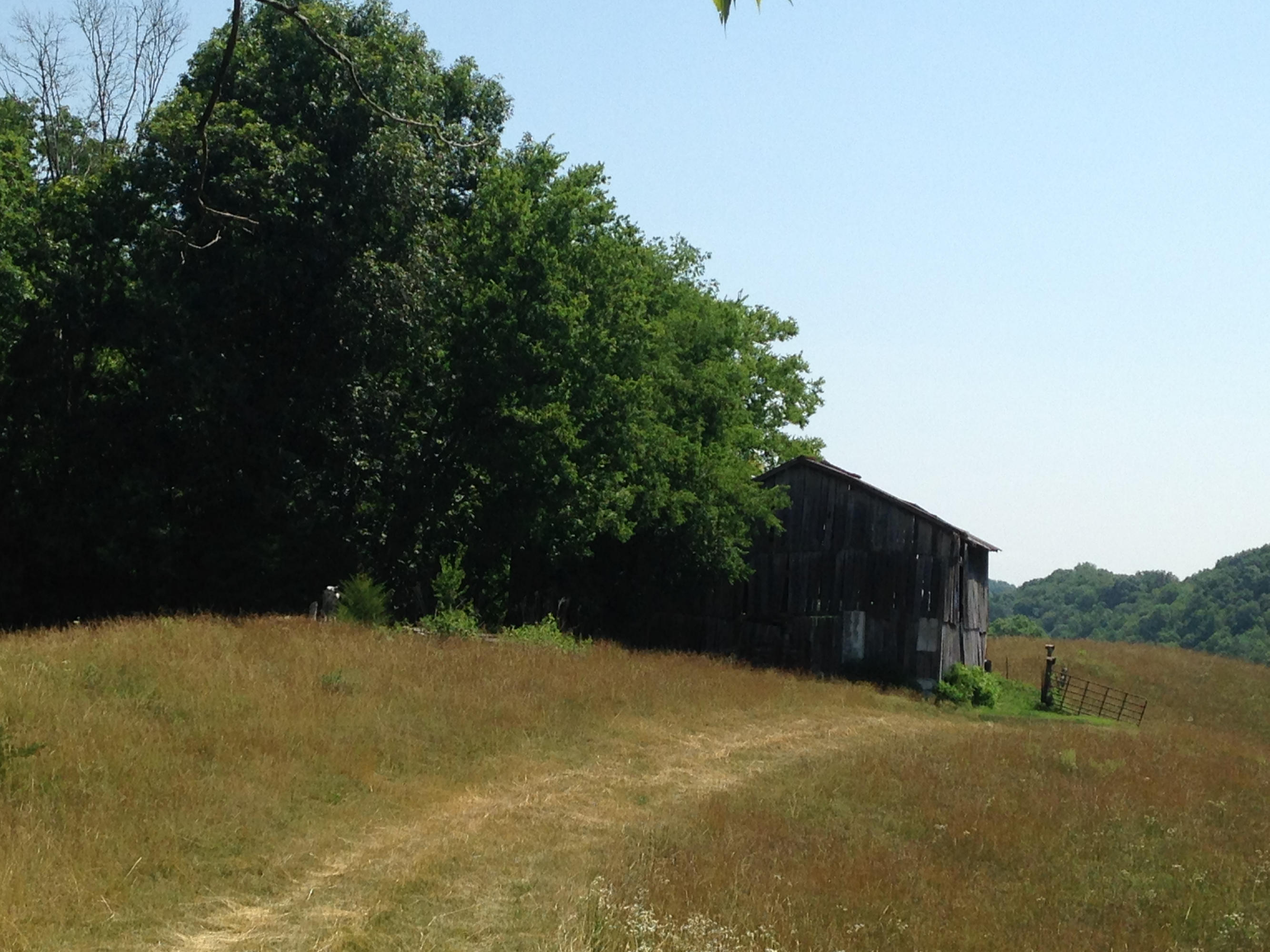 449 Airport Road Bybee, TN 37713 - Photo 17 of 22 2014-06-23 11
