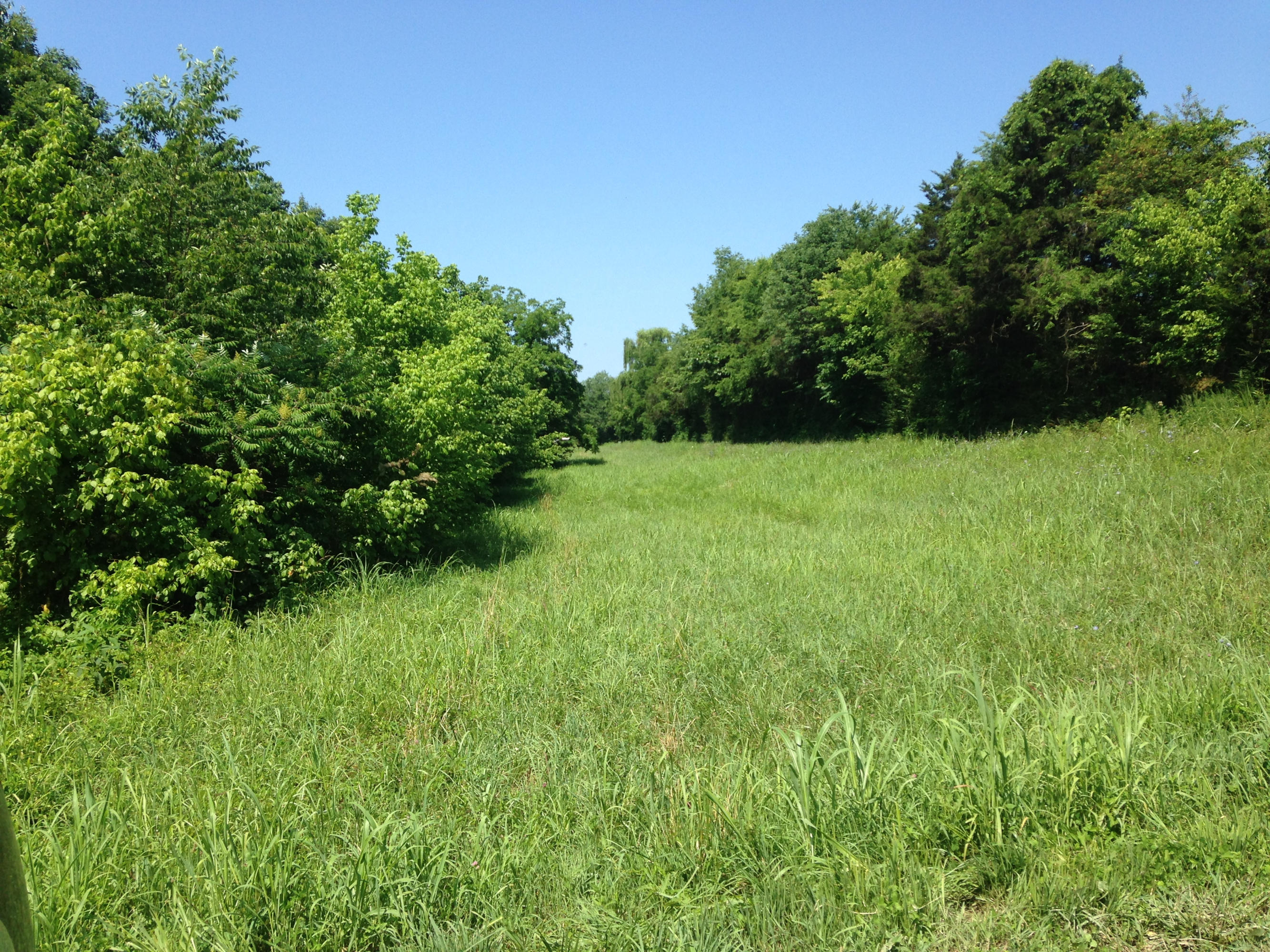 449 Airport Road Bybee, TN 37713 - Photo 3 of 22 2014-06-23 11