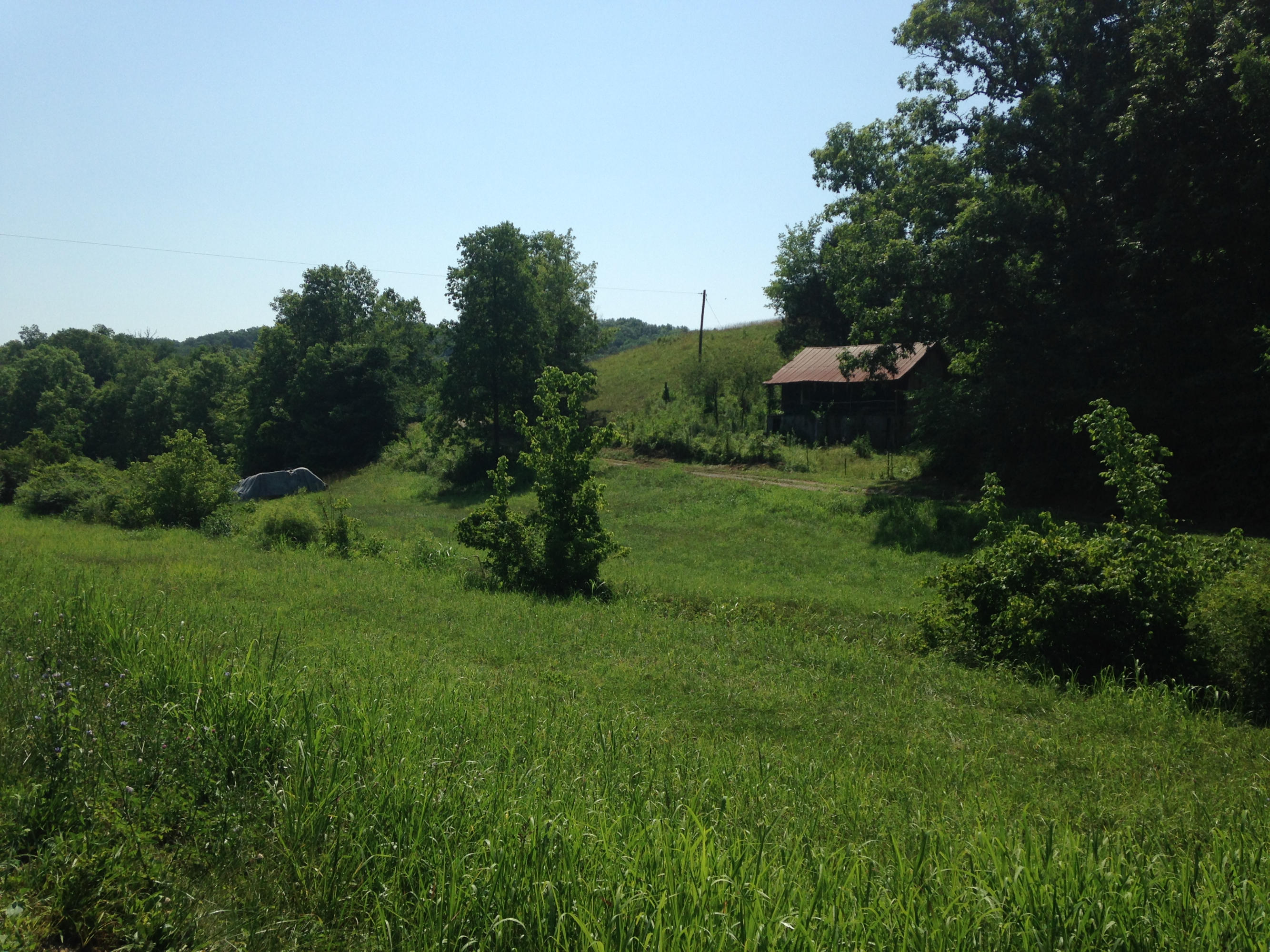 449 Airport Road Bybee, TN 37713 - Photo 4 of 22 2014-06-23 11