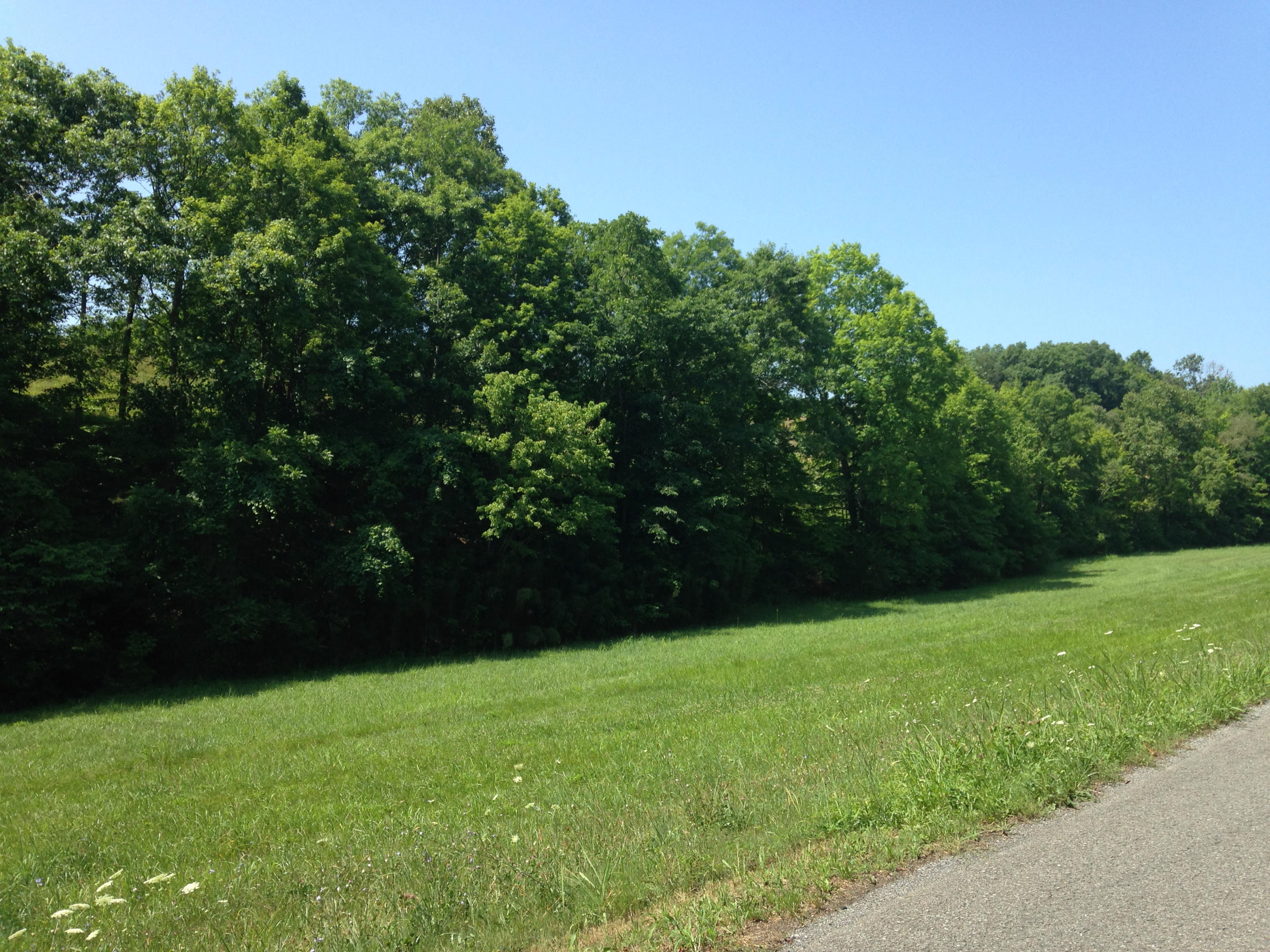 449 Airport Road Bybee, TN 37713 - Photo 7 of 22 2014-06-23 11