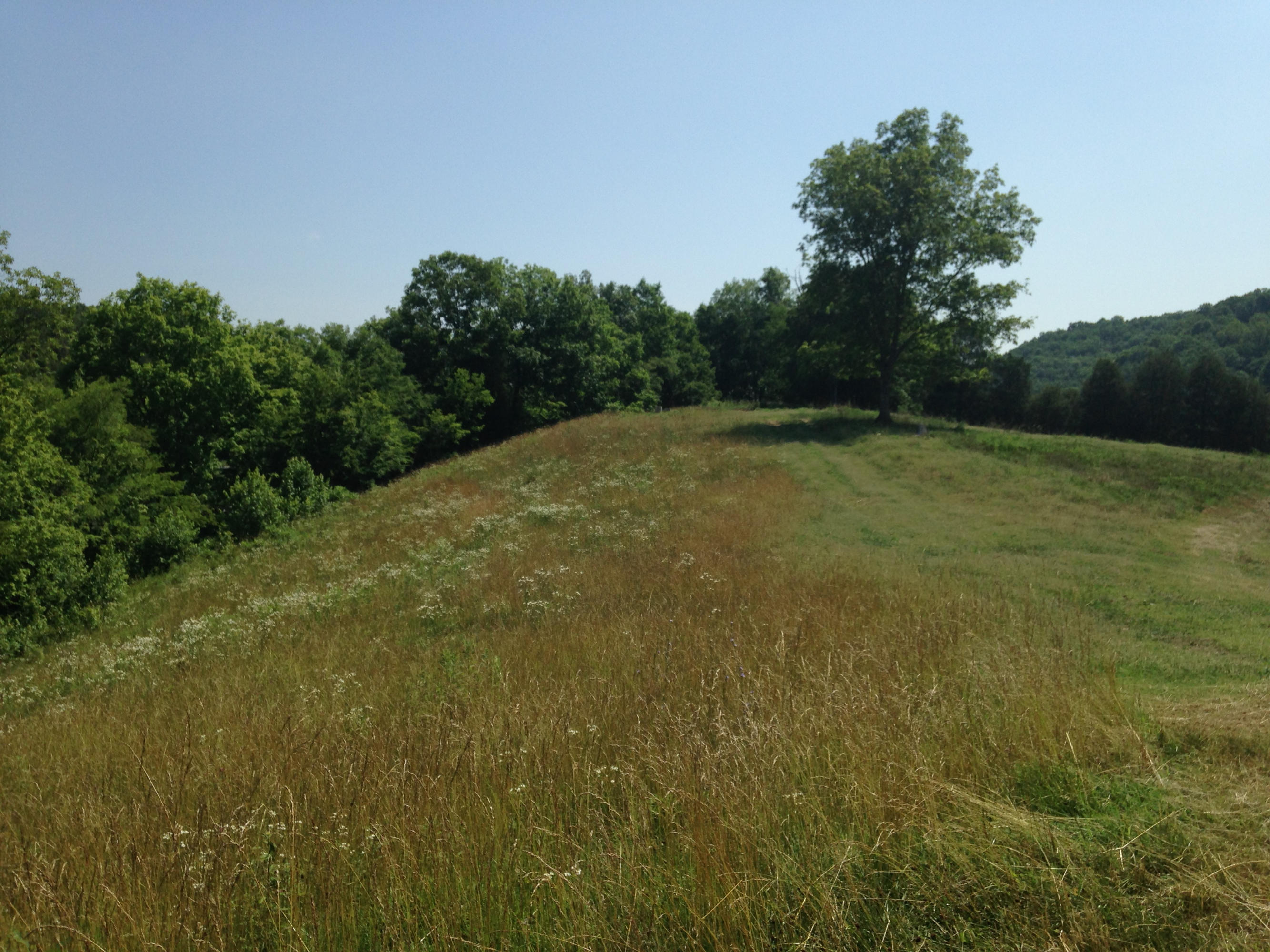 449 Airport Road Bybee, TN 37713 - Photo 8 of 22 2014-06-23 11