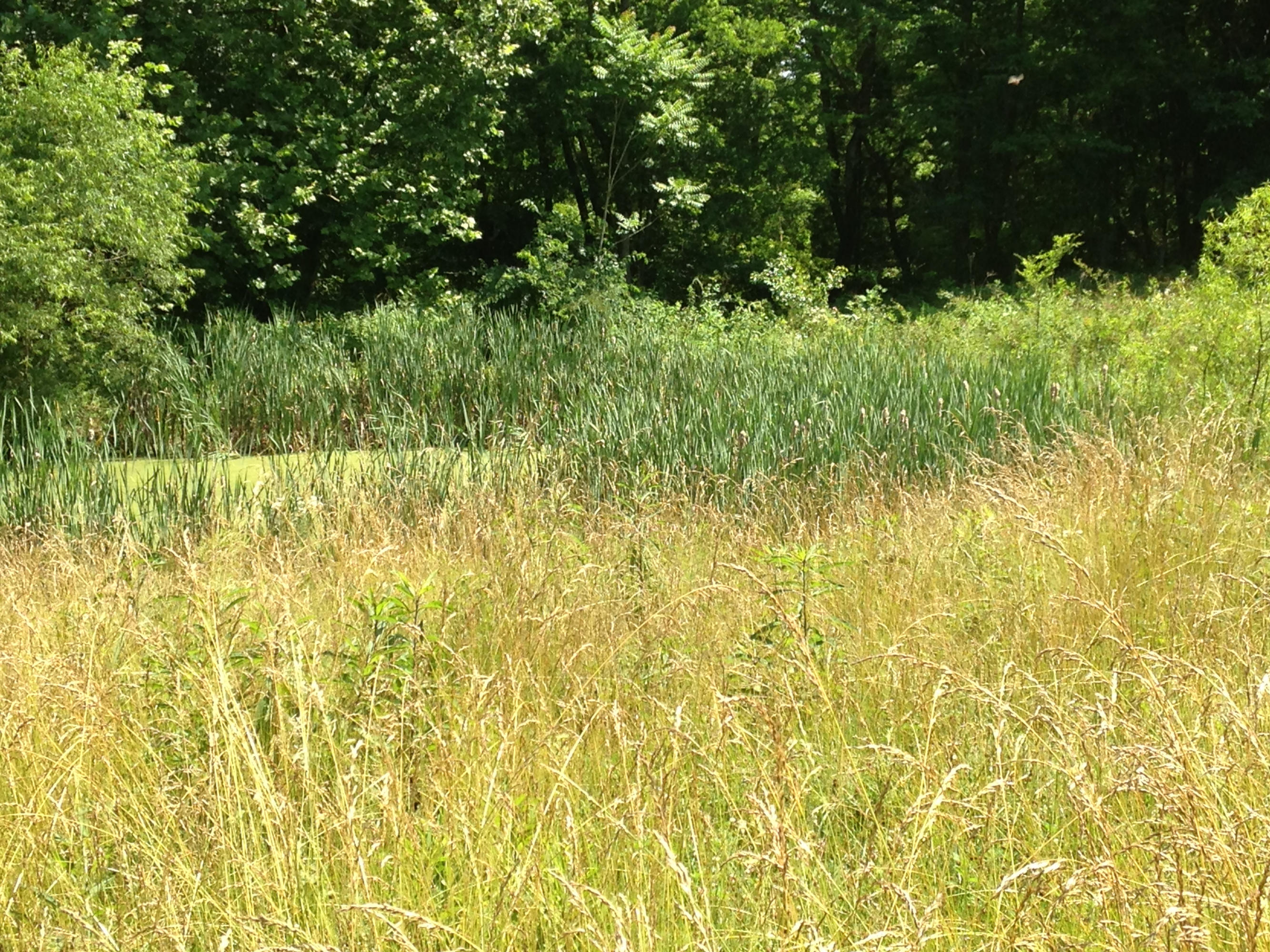 449 Airport Road Bybee, TN 37713 - Photo 9 of 22 2014-06-23 11