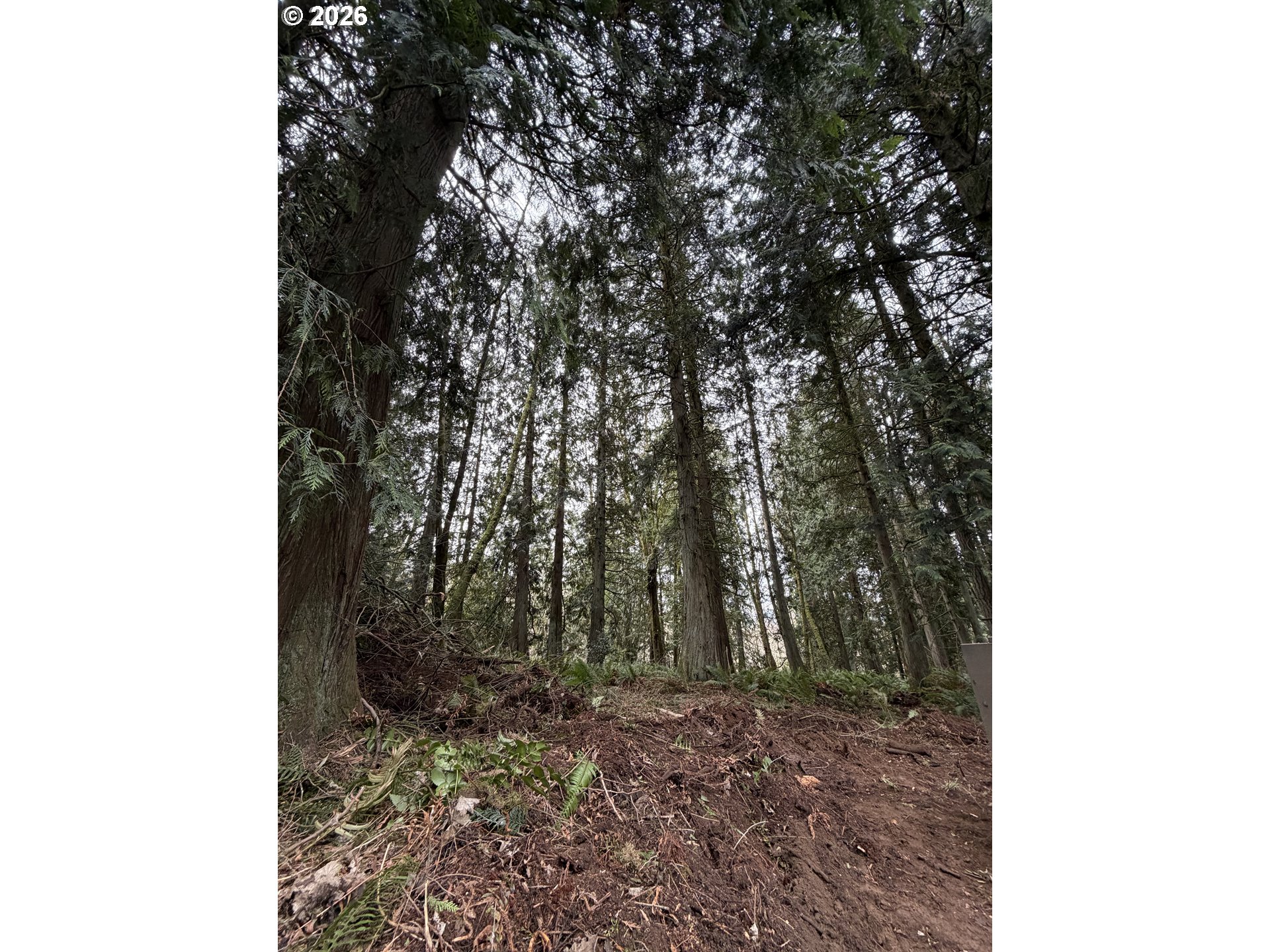 Meserve Road Rainier, OR 97048 - Photo 13 of 16