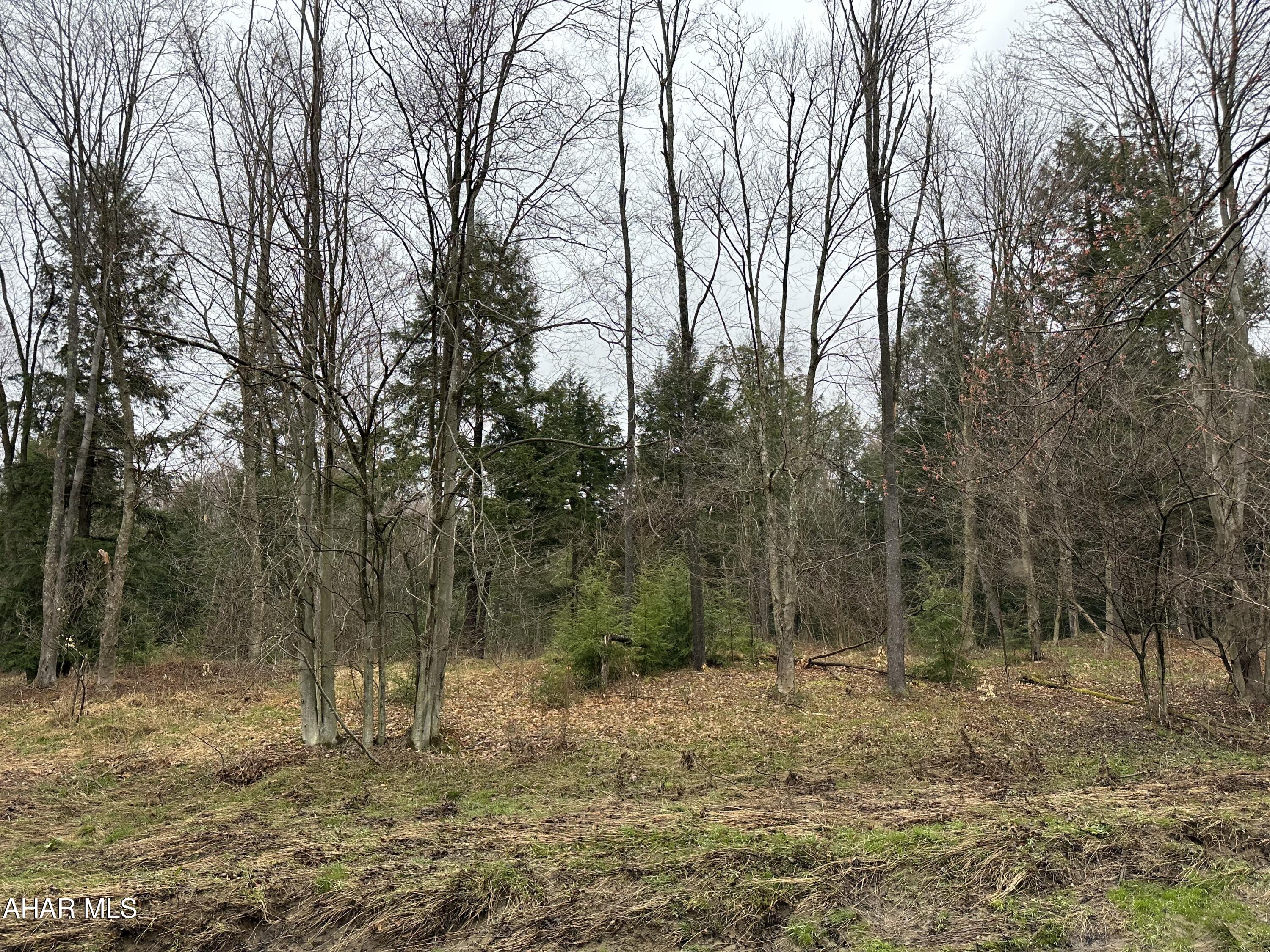 564 Amadei Road Ebensburg, PA 15931 - Photo 21 of 27 Gallery Image 21
