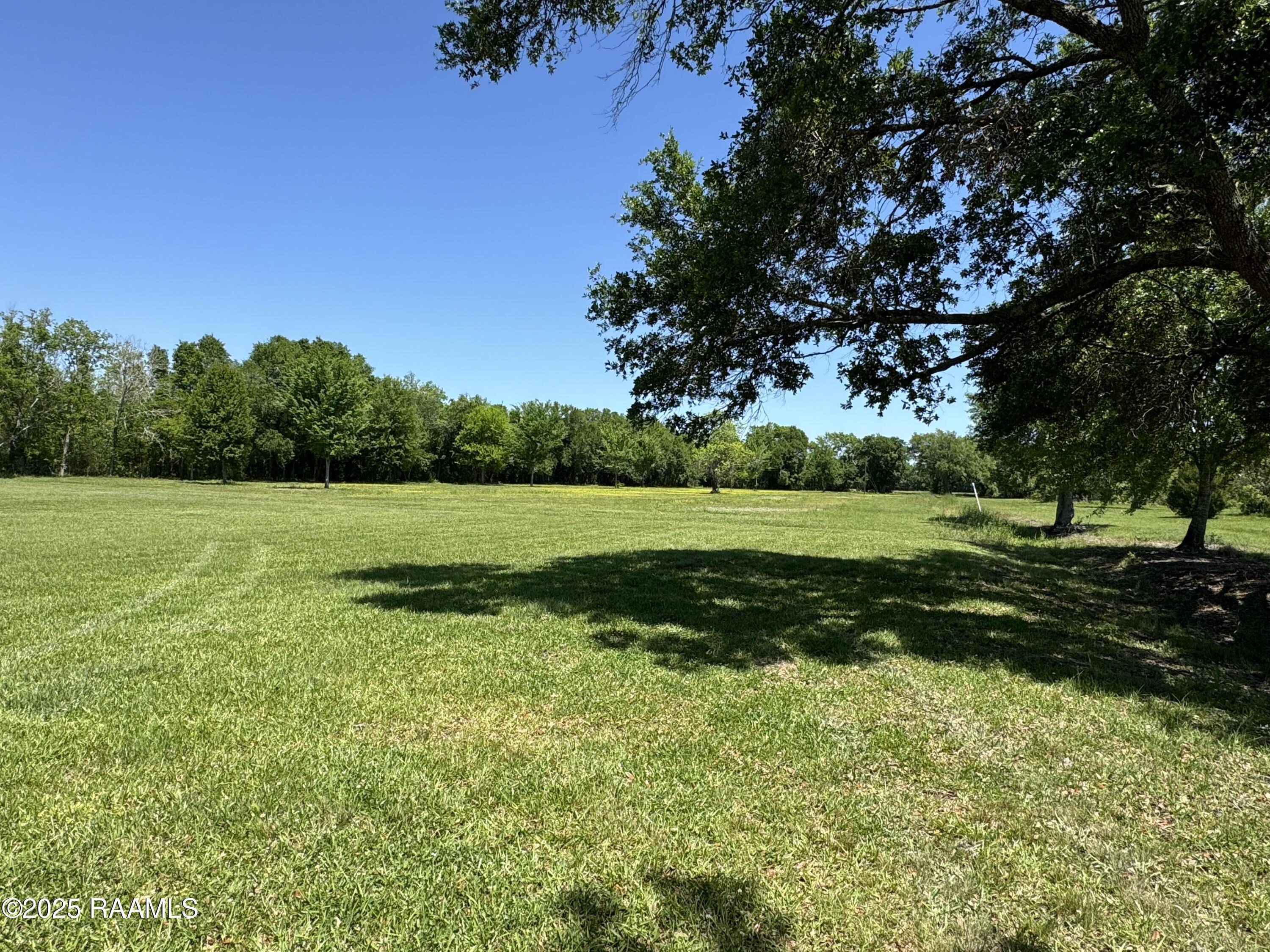 0 Shady Lane Erath, LA 70533 - Photo 20 of 26 IMG_3880