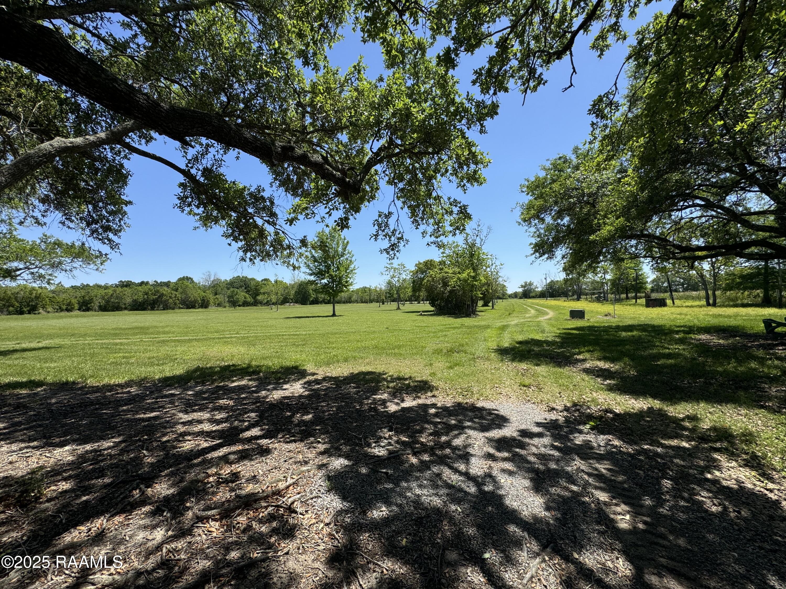 0 Shady Lane Erath, LA 70533 - Photo 3 of 26 IMG_3872 (2)