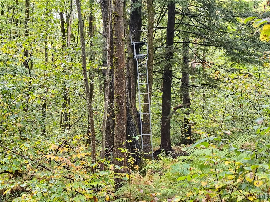 11481 Westdale Road Florence, NY 13483 - Photo 43 of 50