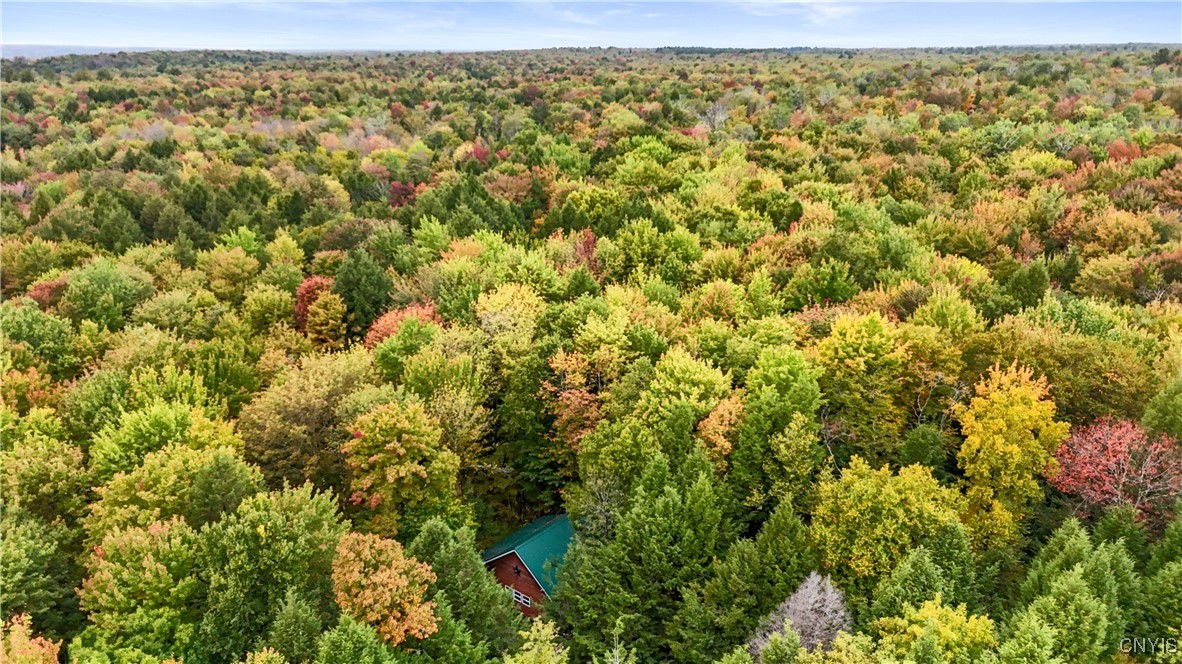 11481 Westdale Road Florence, NY 13483 - Photo 44 of 50