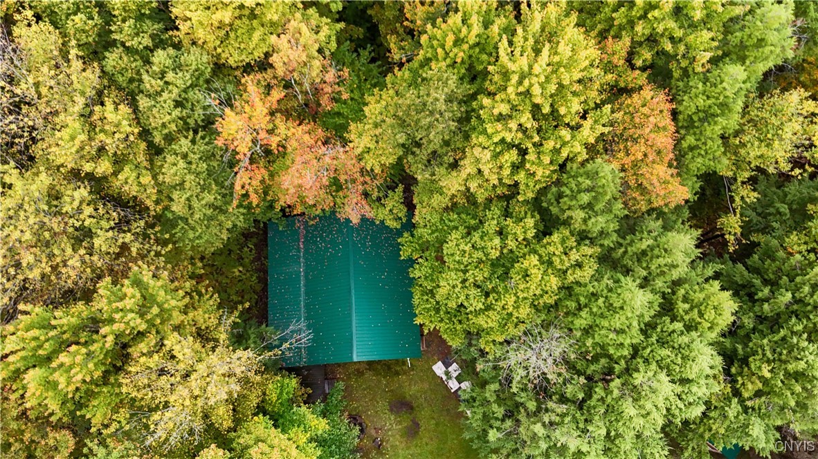 11481 Westdale Road Florence, NY 13483 - Photo 45 of 50