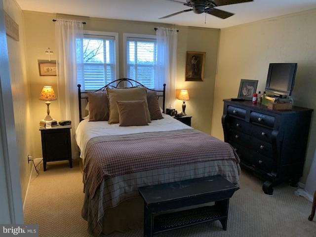 421 Rugby Road Birdsboro, PA 19508 - Photo 16 of 25 Master Bedroom
