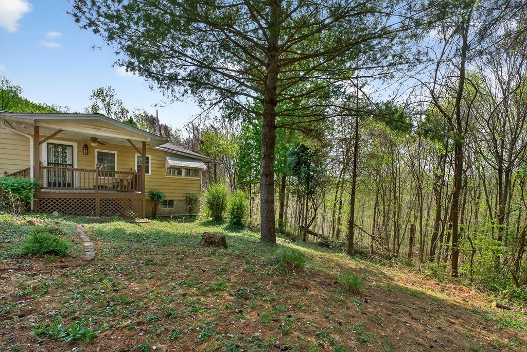 1932 Holly Creek Road Celina, TN 38551 - Photo 27 of 31 a view of a house with a yard and potted plants