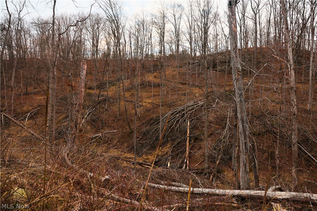 Brimstone Road Coolville, OH 45723 - Photo 25 of 29