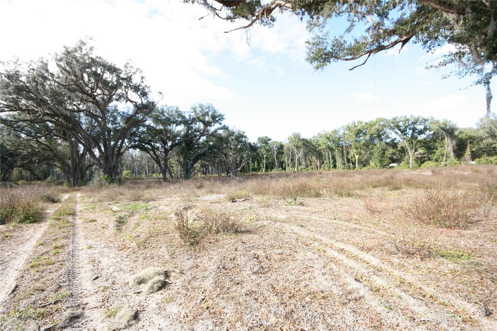 301 Tbd Citra, FL 32113 - Photo 33 of 34