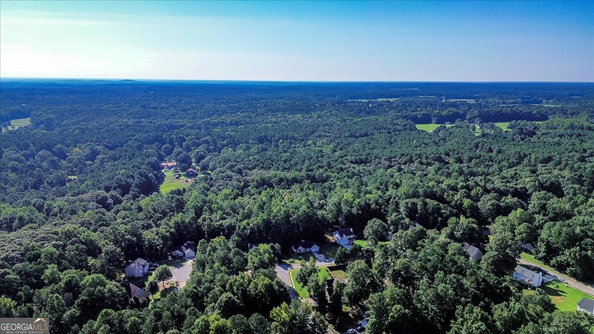 1602 Annas Way Monroe, GA 30656 - Photo 46 of 48