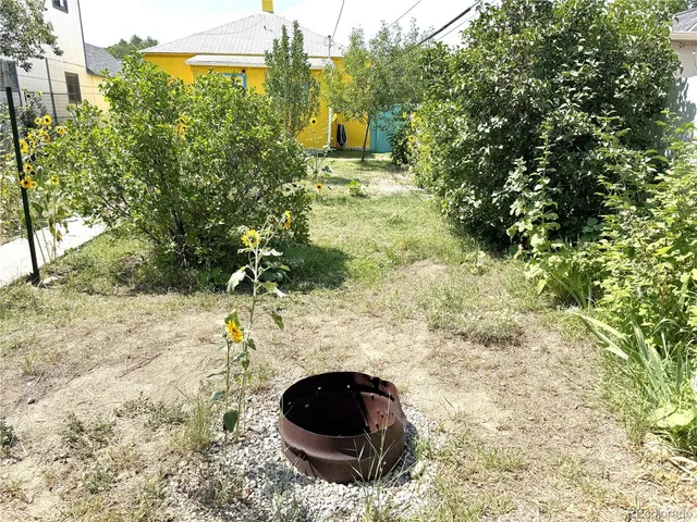 a backyard of a house with a yard and large tree