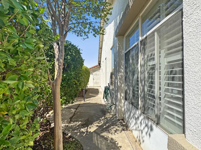 a view of a street with a tree