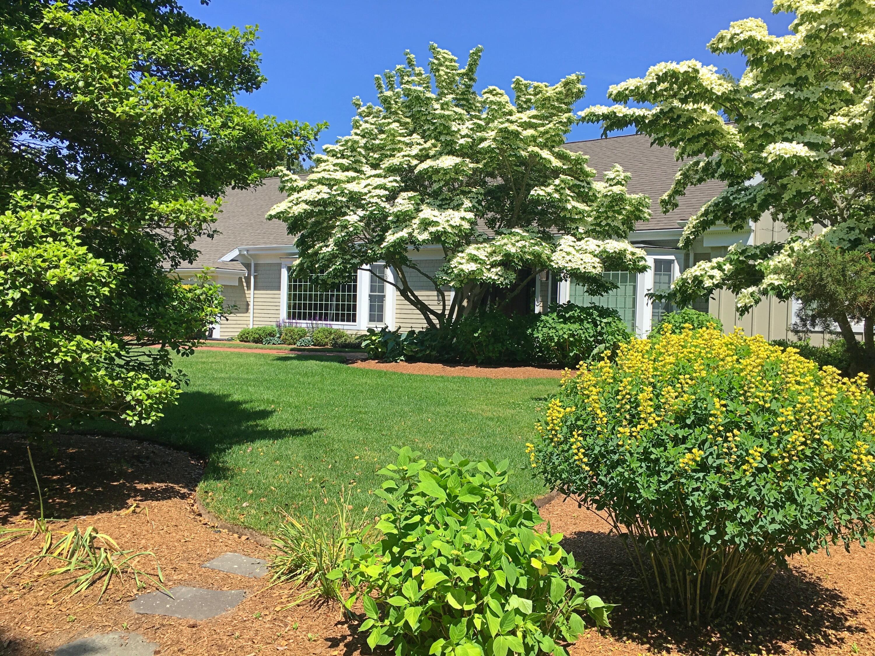 29 Jack Knife Point Road Orleans, MA 02653 - Photo 13 of 96 IMG_5979